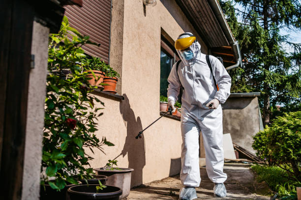 Best Wasp Removal Services  in Auburn, KS