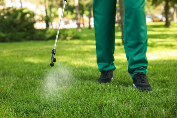 Best Local Pest Control Services  in Auburn, KS
