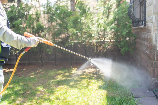 Best Pest Prevention Services  in Auburn, KS