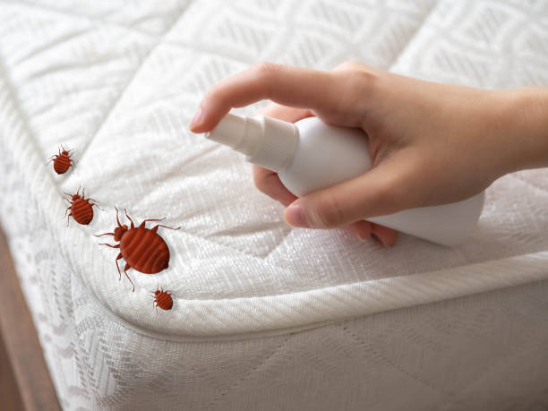 Best Affordable Pest Control Services  in Auburn, KS