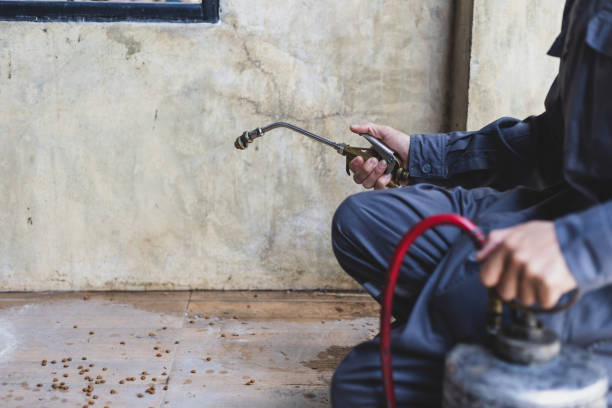 Best Pest Control Treatment  in Auburn, KS